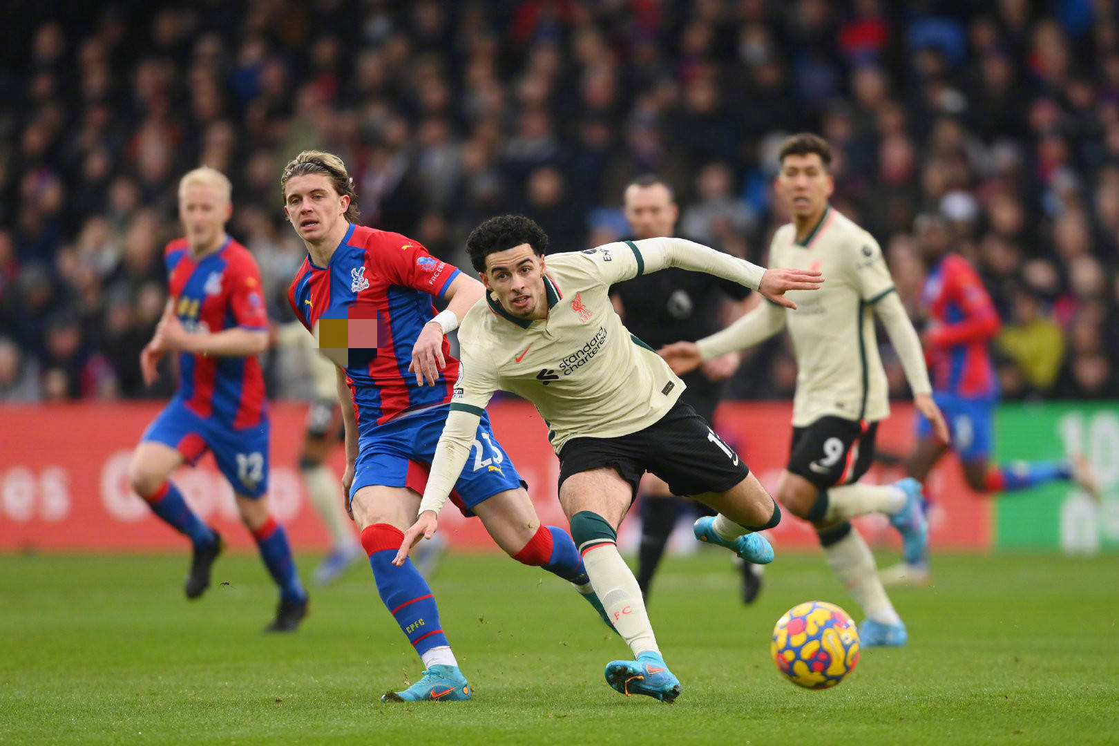 帮助自己平 帮助自己平