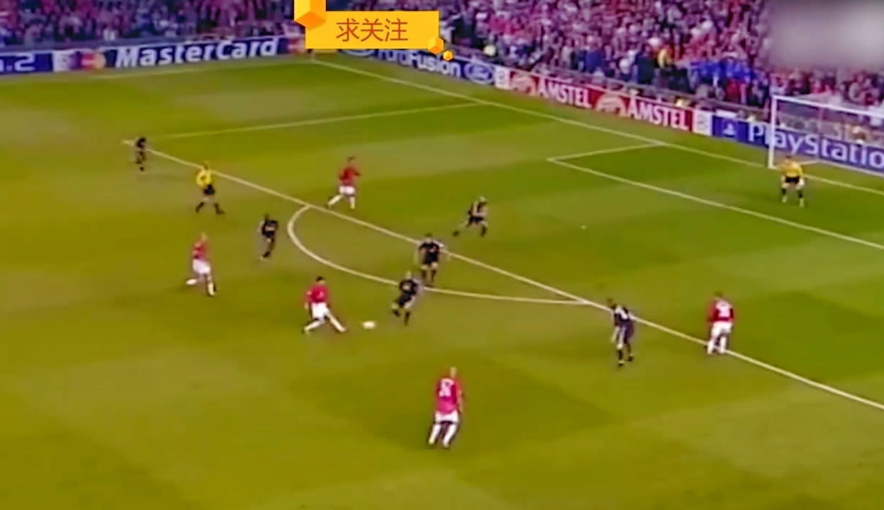 到了完美体 到了完美体